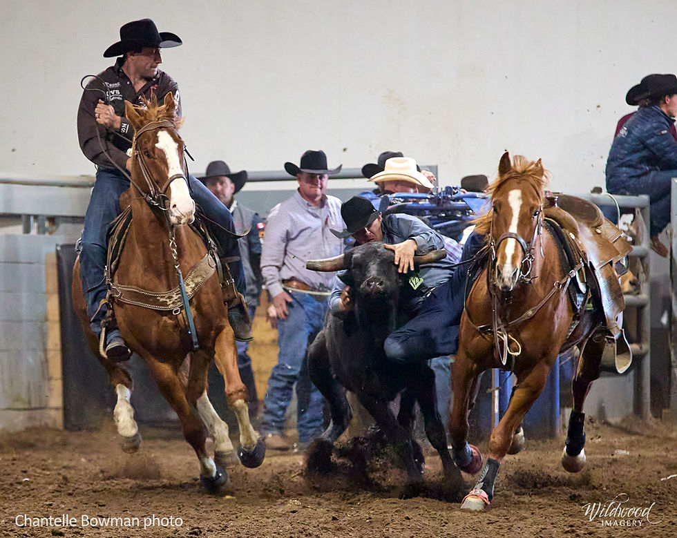 Classic Rodeo Taber Spring Classic Pro Rodeo