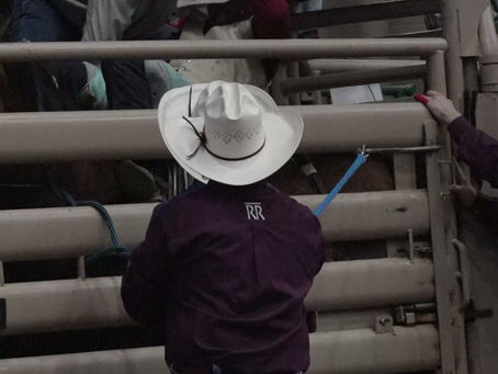 Resistol Rookie Roundup