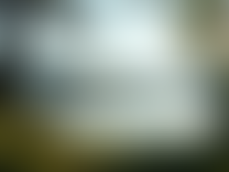 The Power of Mindfulness in Everyday Life