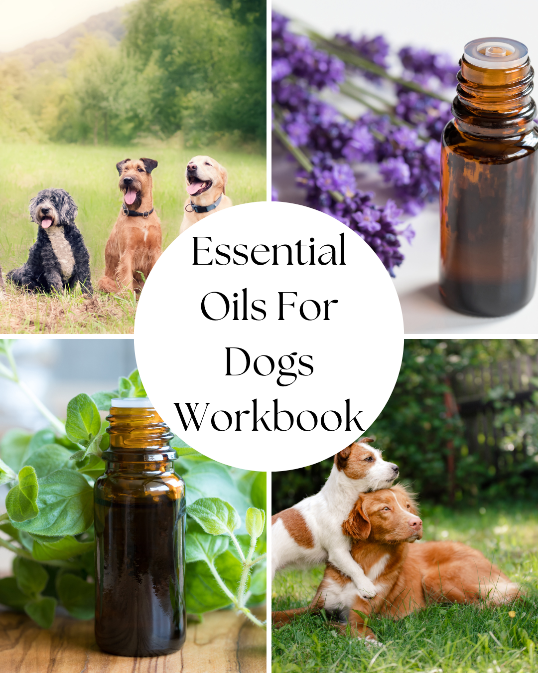 Canine Aromatherapy Workbook