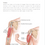 Thumbnail: Body Massage - Home Diploma Training