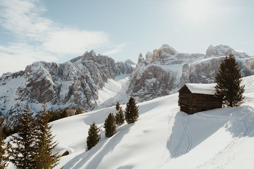 AM_Nature_Winter-124.jpg
