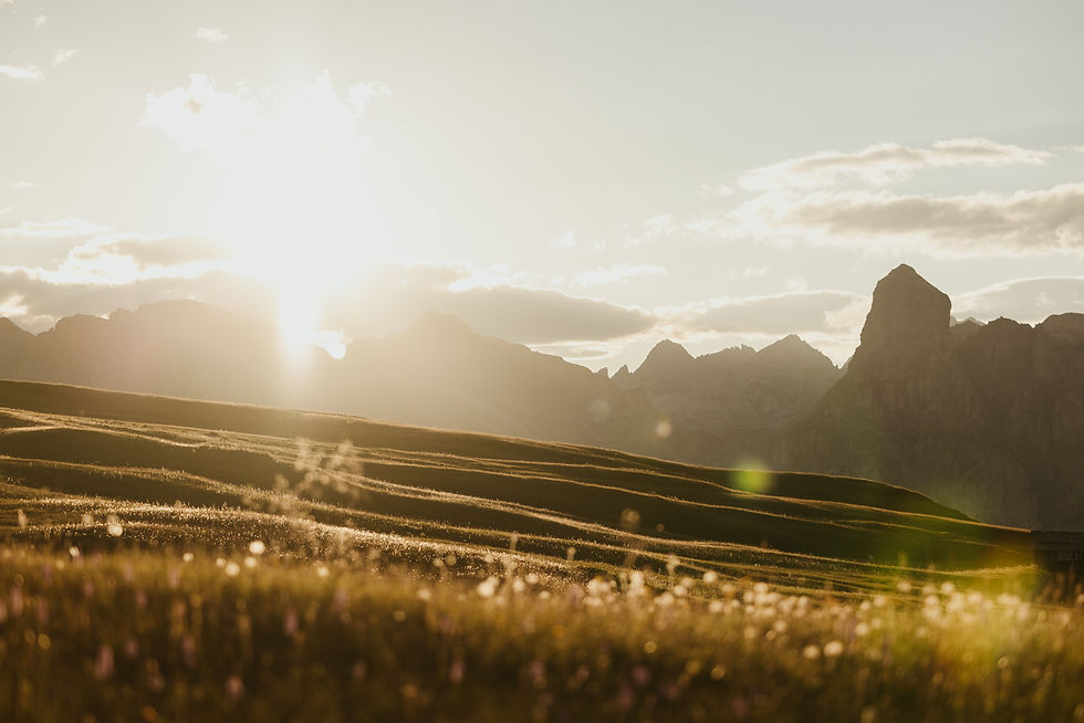 AM_Nature_Summer-126.jpg