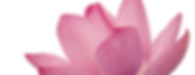 Hawaii Psychic Medium
