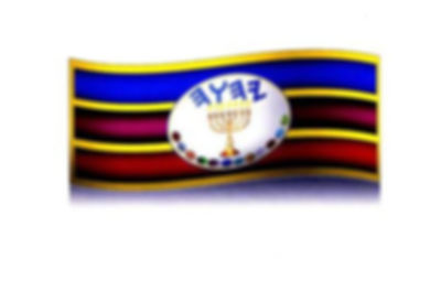 unyflagart.jpg