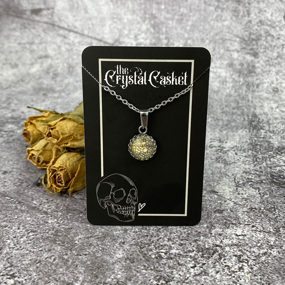 Thumbnail: Preserved Panther Chameleon Skin Pendant - Round