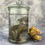 Thumbnail: Wet Specimen Chocolate Rex Baby Rabbit