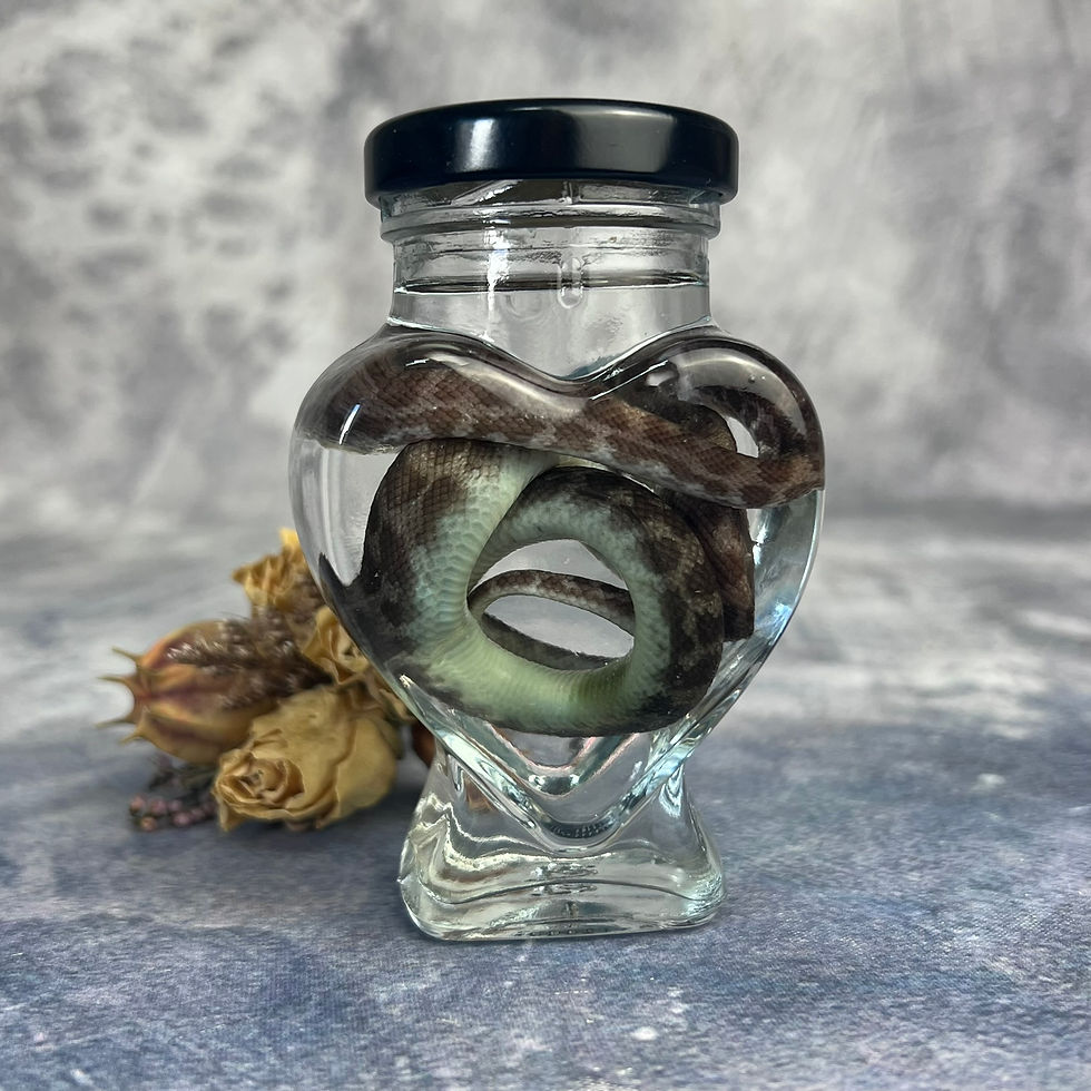 Thumbnail: Wet Children's Python - Heart Jar