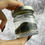 Thumbnail: Wet Specimen Baby Diamondback Terrapin