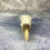Thumbnail: Natural Fulmar Skull