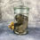 Thumbnail: Wet Specimen Tabby Kitten Small Jar 1