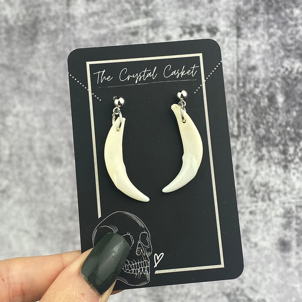 Thumbnail: Sterling Silver Fox Tooth Earrings