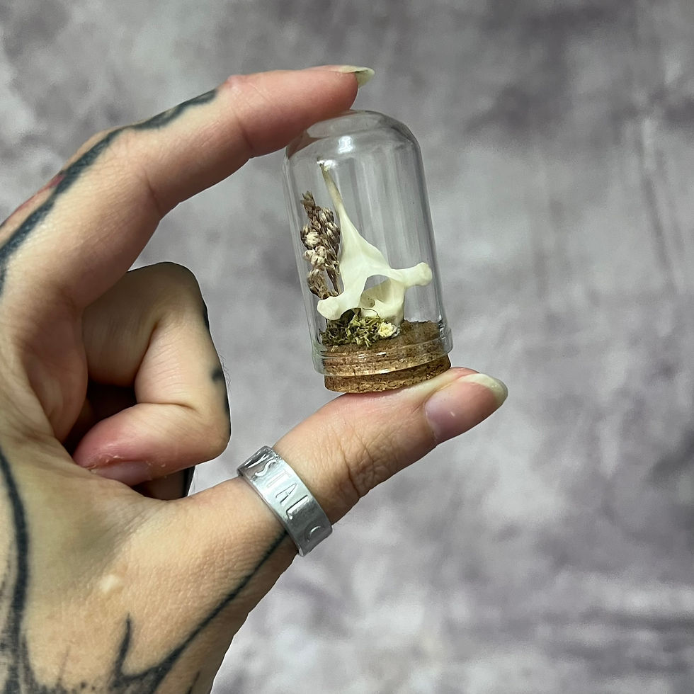 Thumbnail: Floral Rabbit Bone Mini Dome