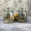 Thumbnail: Wet Specimen Foetal Bunny  - Clip jar