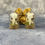 Thumbnail: Floral Hamster Skull Mini Dome