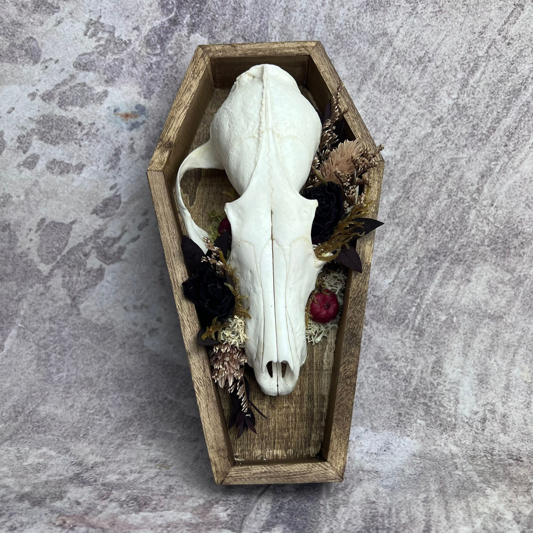 Floral Coffin Framed Fox Skull