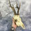 Thumbnail: XL Natural Vintage  Roe Deer Skull