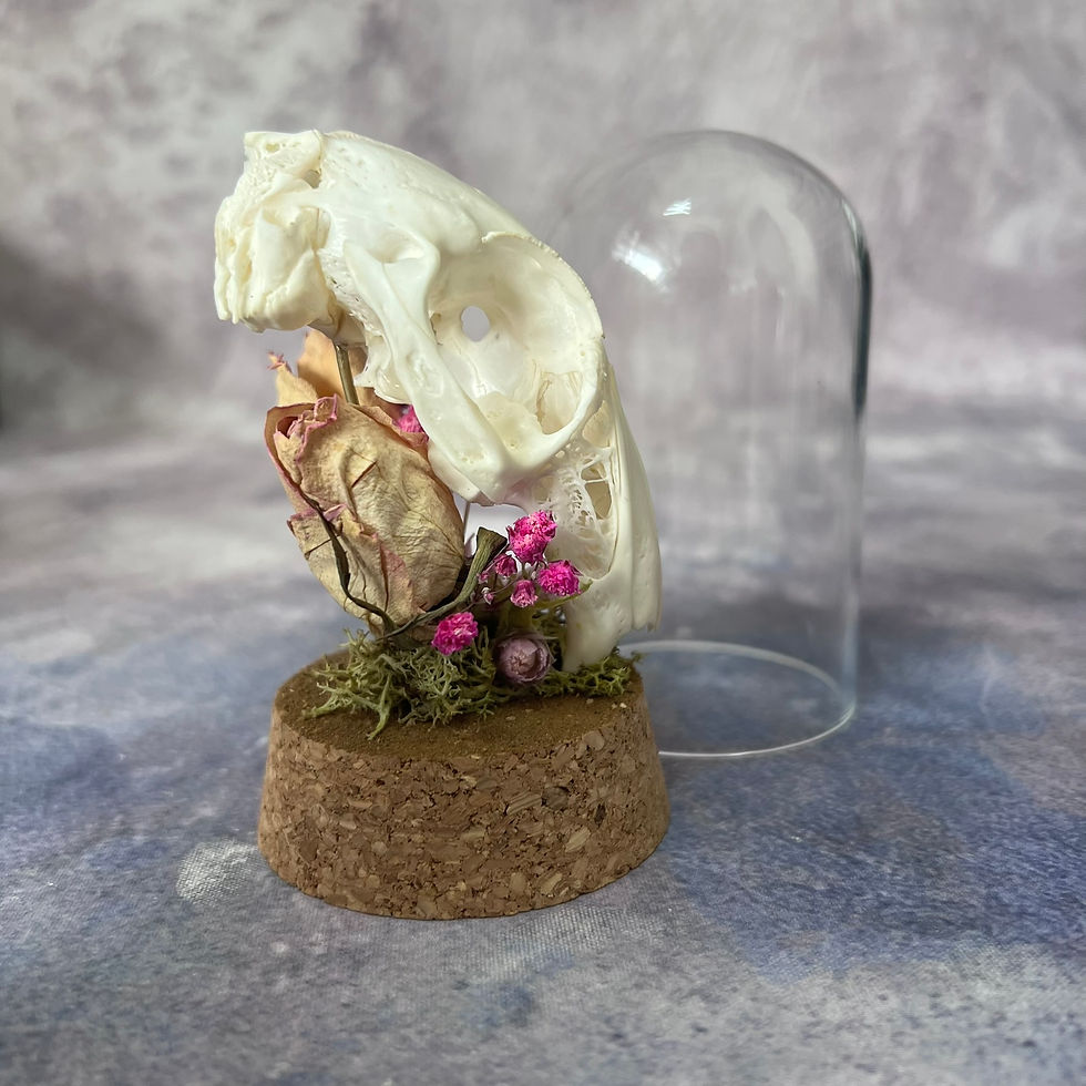Thumbnail: Natural Floral Rabbit Skull Dome