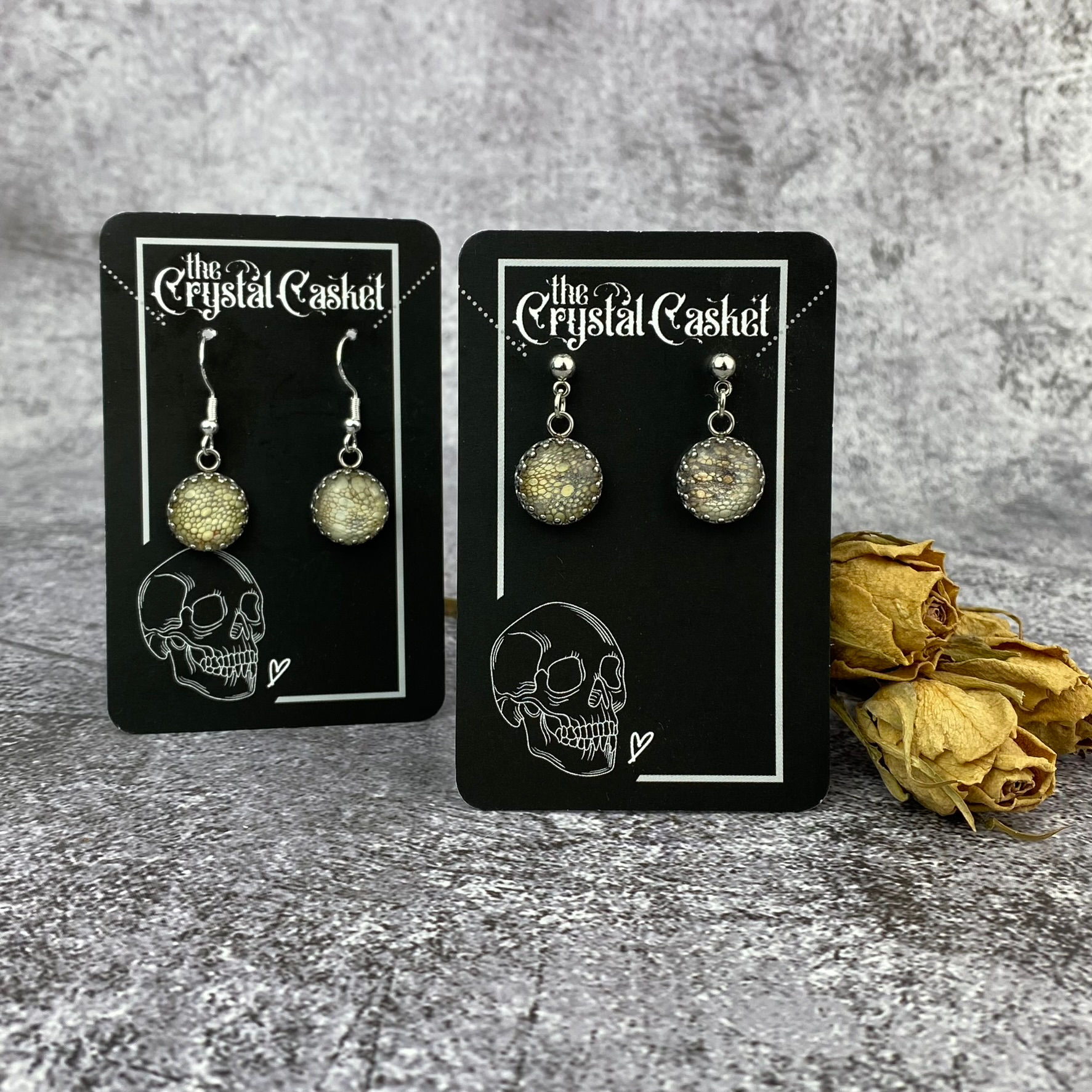 Preserved Panther Chameleon Round Earrings