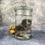Thumbnail: Wet Specimen Silver Tabby Kitten Small Jar
