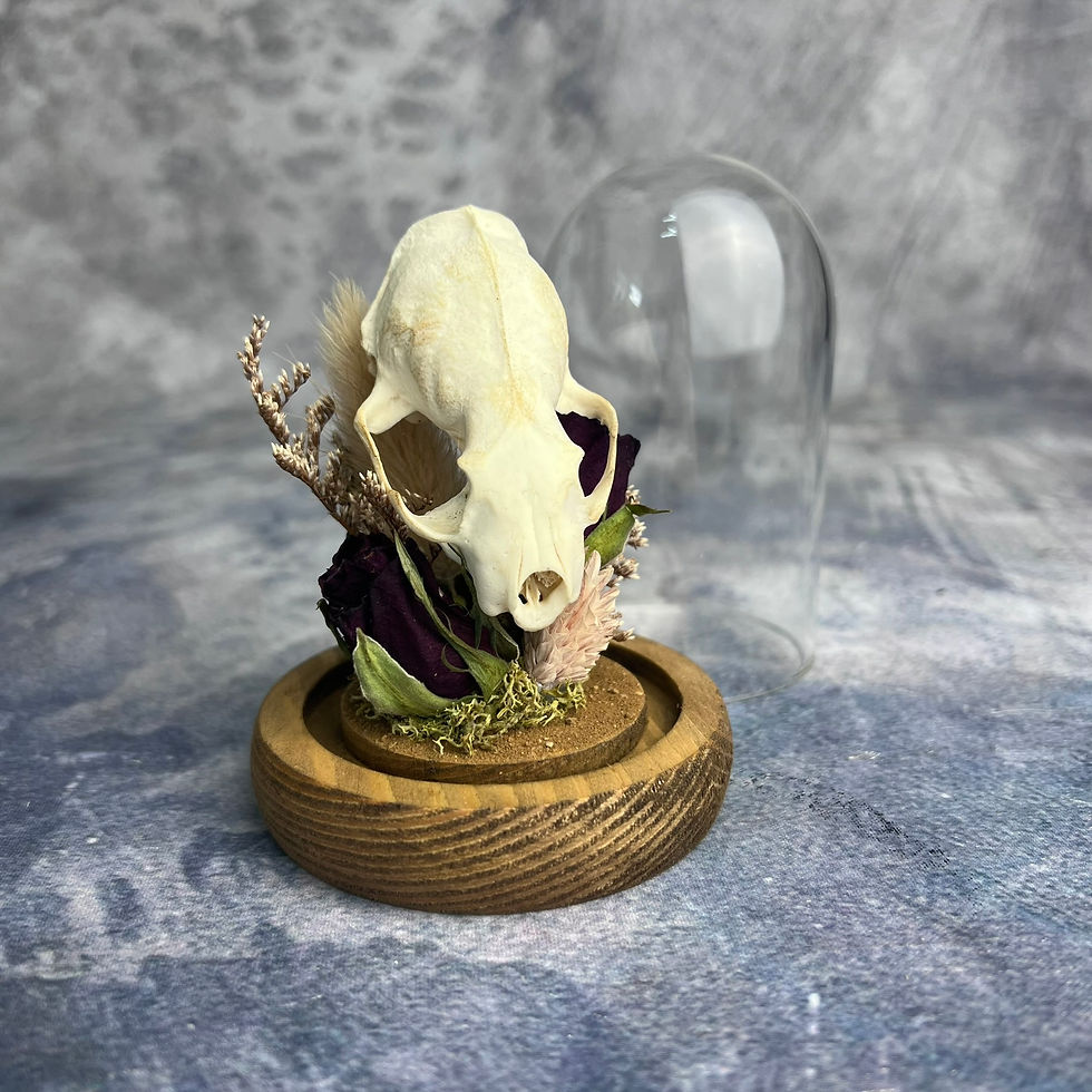 Thumbnail: Floral Mink Skull Nature Dome