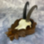 Thumbnail: Vintage Alpine Chamois Skull Shield