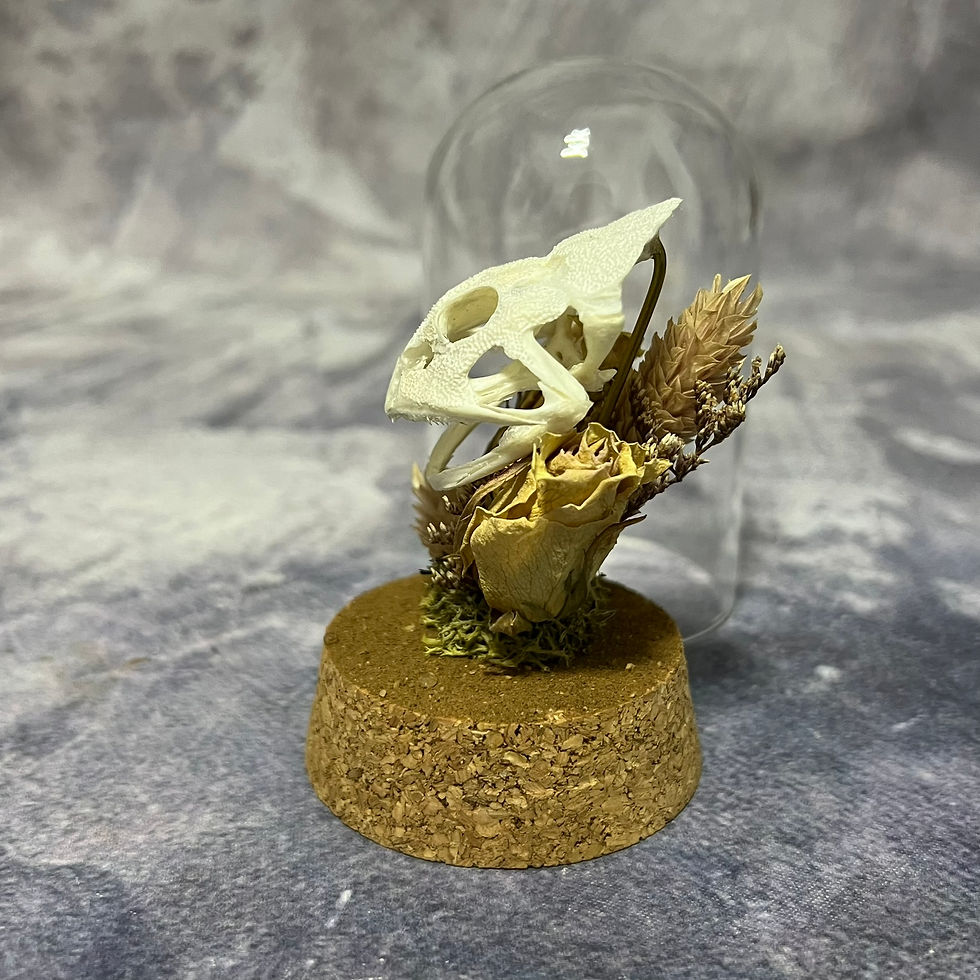 Thumbnail: Natural Floral Pac-Man Frog Skull Dome