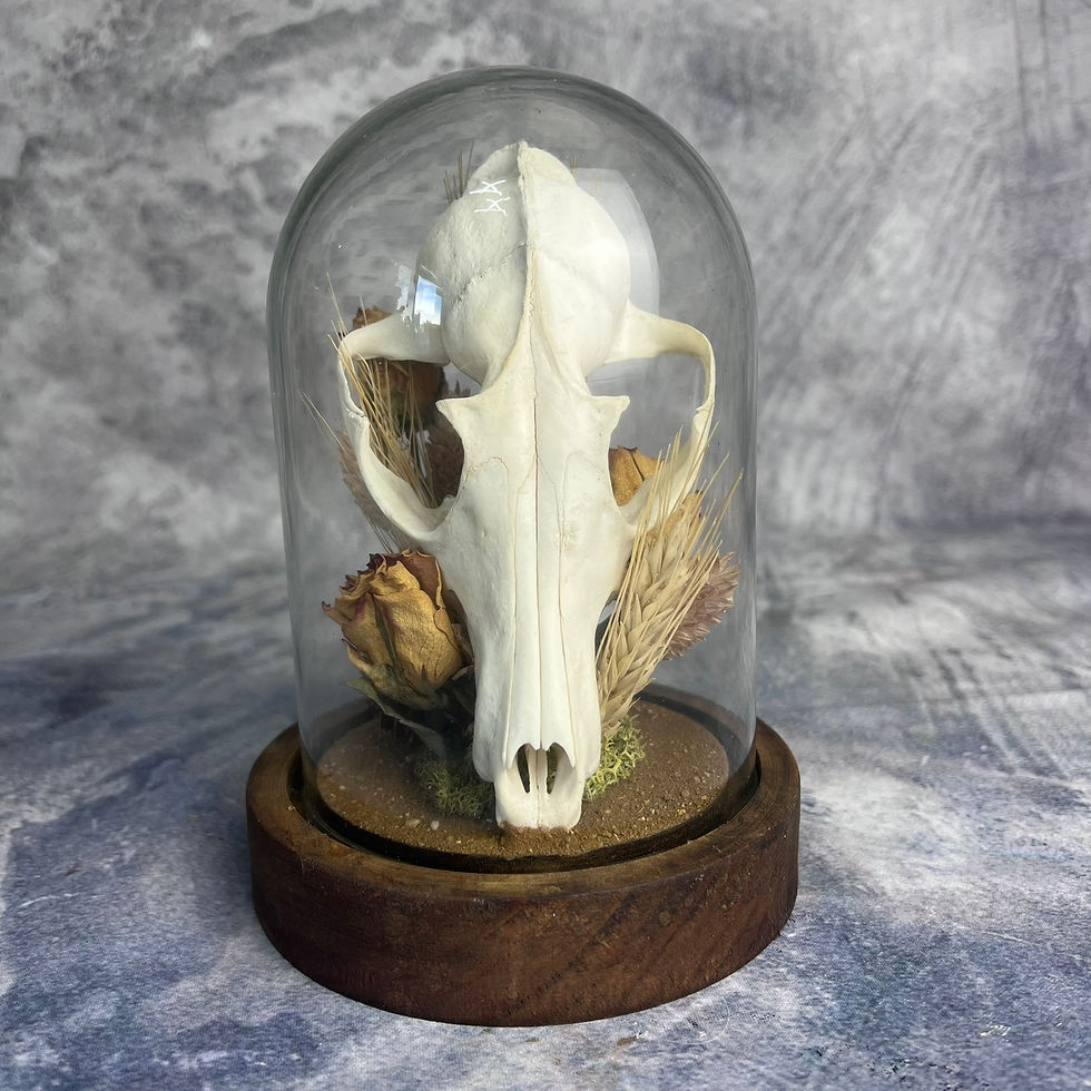 Thumbnail: Natural Floral Fox Skull Dome