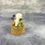 Thumbnail: Floral Hamster Skull Mini Dome