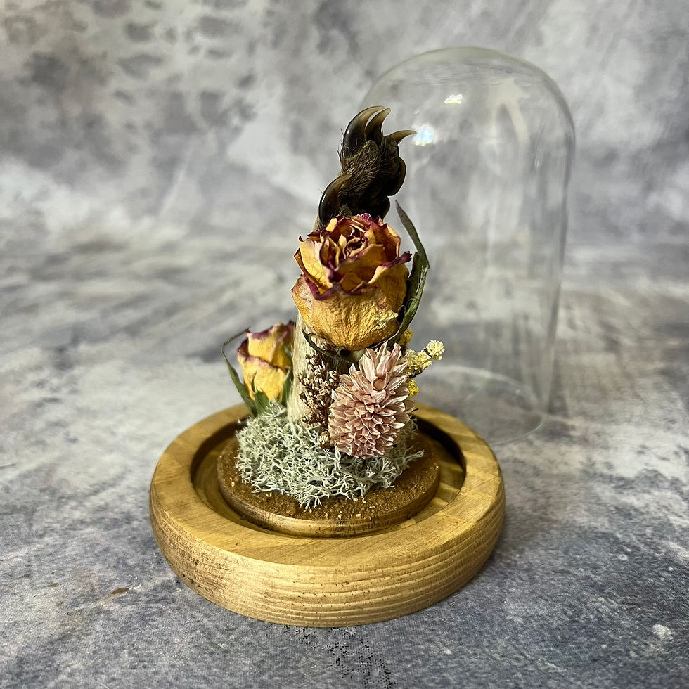 Thumbnail: Raccoon Paw Floral Dome