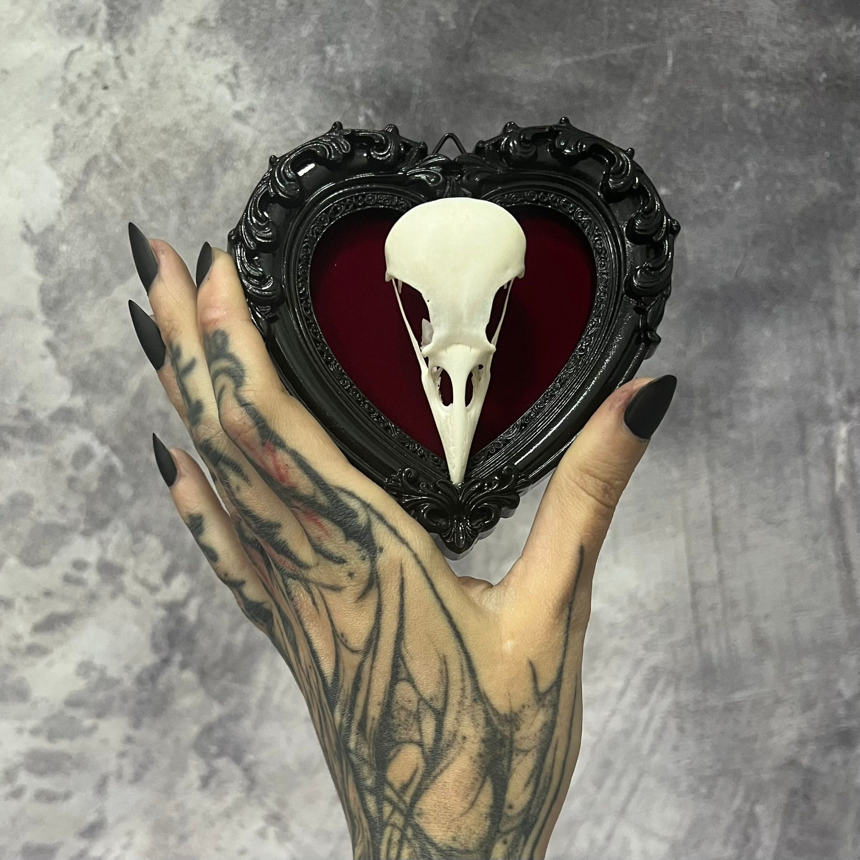 Ornate Heart Shape Magpie Skull Frame