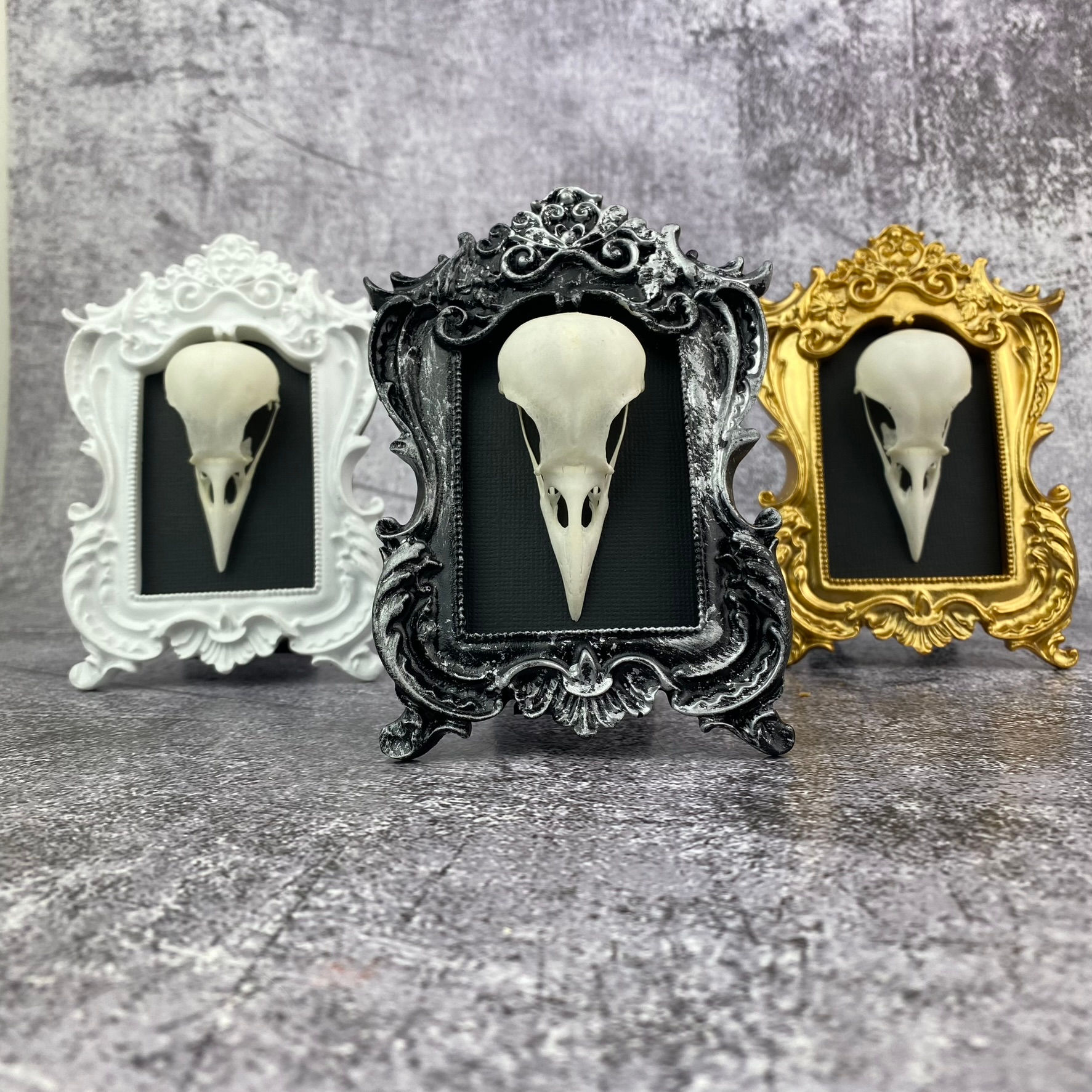 Ornate Magpie Skull Frame