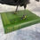 Thumbnail: Taxidermy Crow on Vintage Book