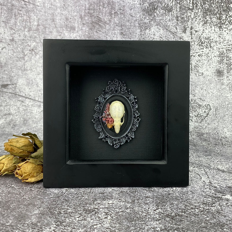 Thumbnail: Floral Ornate Mouse Skull Frame