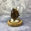 Thumbnail: Ammonite Fossil Dome