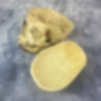 Thumbnail: Medically Prepared Human Skull