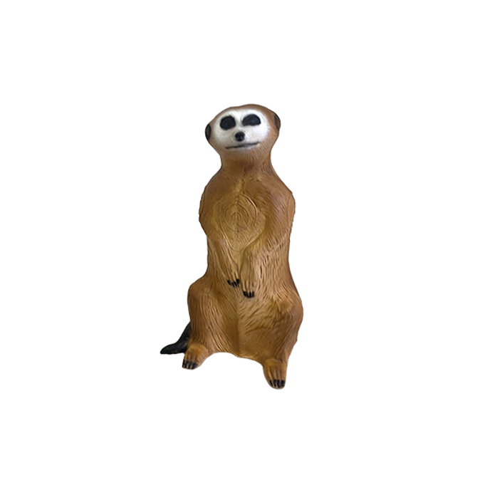Erdmännchen