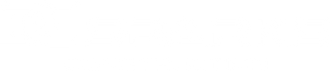DC Sparks Logo White.png