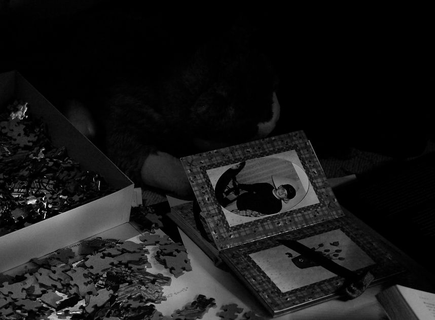 scene3.jpg