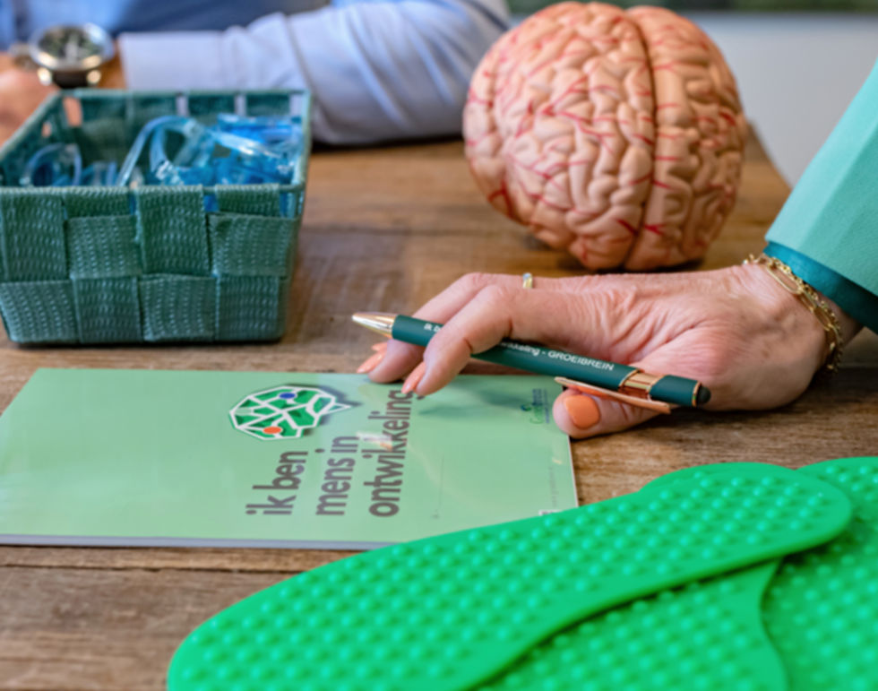 Groeibrein Werkwijze