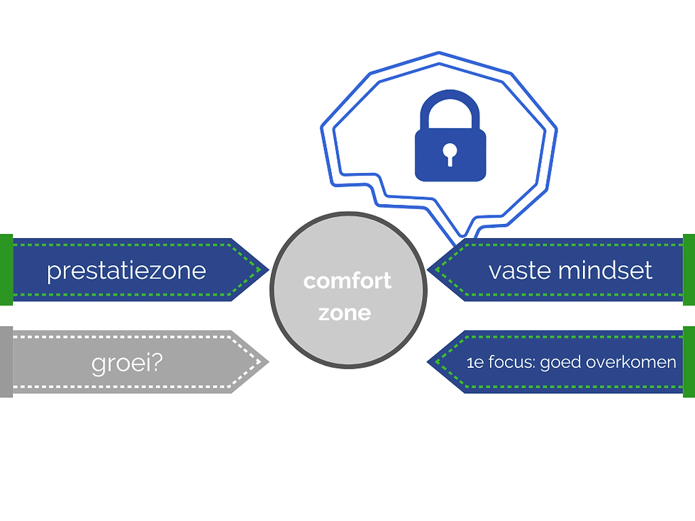 Fixed mindset visual vaste mindset van Groeibrein