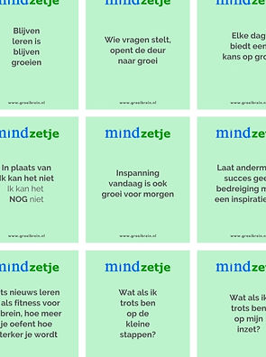 MindZetje - Mindset quote Groeibrein - g