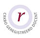Groeibrein traint, coacht mensen brein bewust een groei-mindset te ontwikkelen om doelen te bereiken. Teams, organisaties, onderwijs en persoonlijk. Groeiminset
