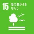 #15.webp