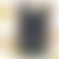 早いもので11月に…