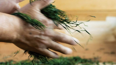 【食文化体験】手揉み茶体験＆お茶の試飲