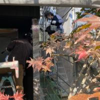 本日の作業風景
