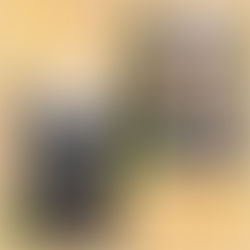 もう11月…