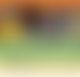 【試飲・試食ブース】「ふじのくに山のお茶100選2024」入選茶とお茶菓子