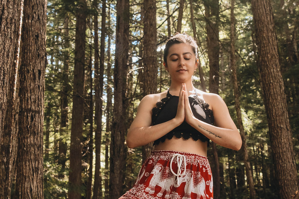 a woman standing in tree pose in a forest with hands in prayer in front of heart. Yoga as a science of consciousness